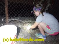/home//u458753944/public_html/sourcegallery//Roxborough Toad Detour/2013-2019/2017/P4110716.JPG